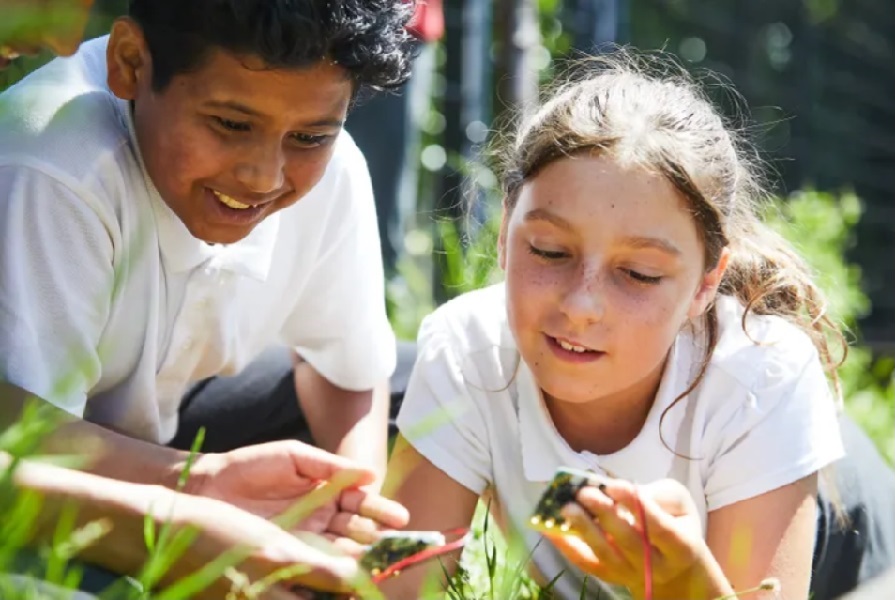 Photo of kids exploring plants with a micro:bit single board computer.